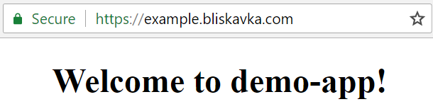 Screenshot of demo-app using SSL on a Route53 domain